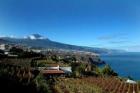 Appartment el Teide Teneriffa